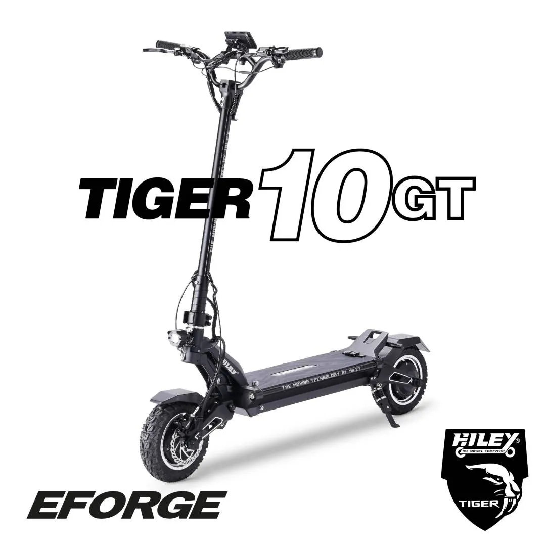 Electric Scooter Hiley Tiger 10 GT (Advanced model)
