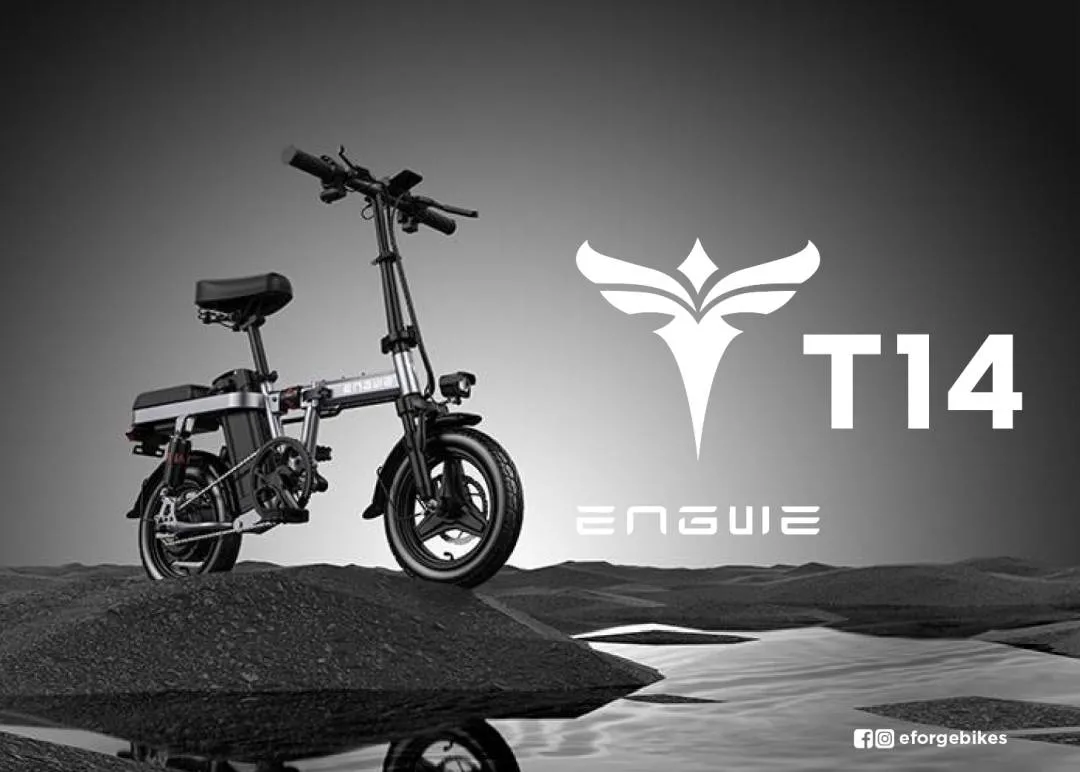 Electric Bicycle Engwe T14 (Parent and child ebike)