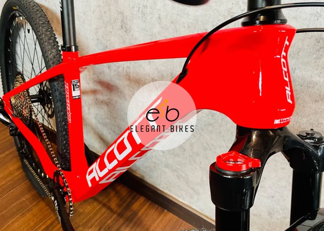 ALCOTT DAYTONA 12SP DEORE M6100 CARBON FRAME