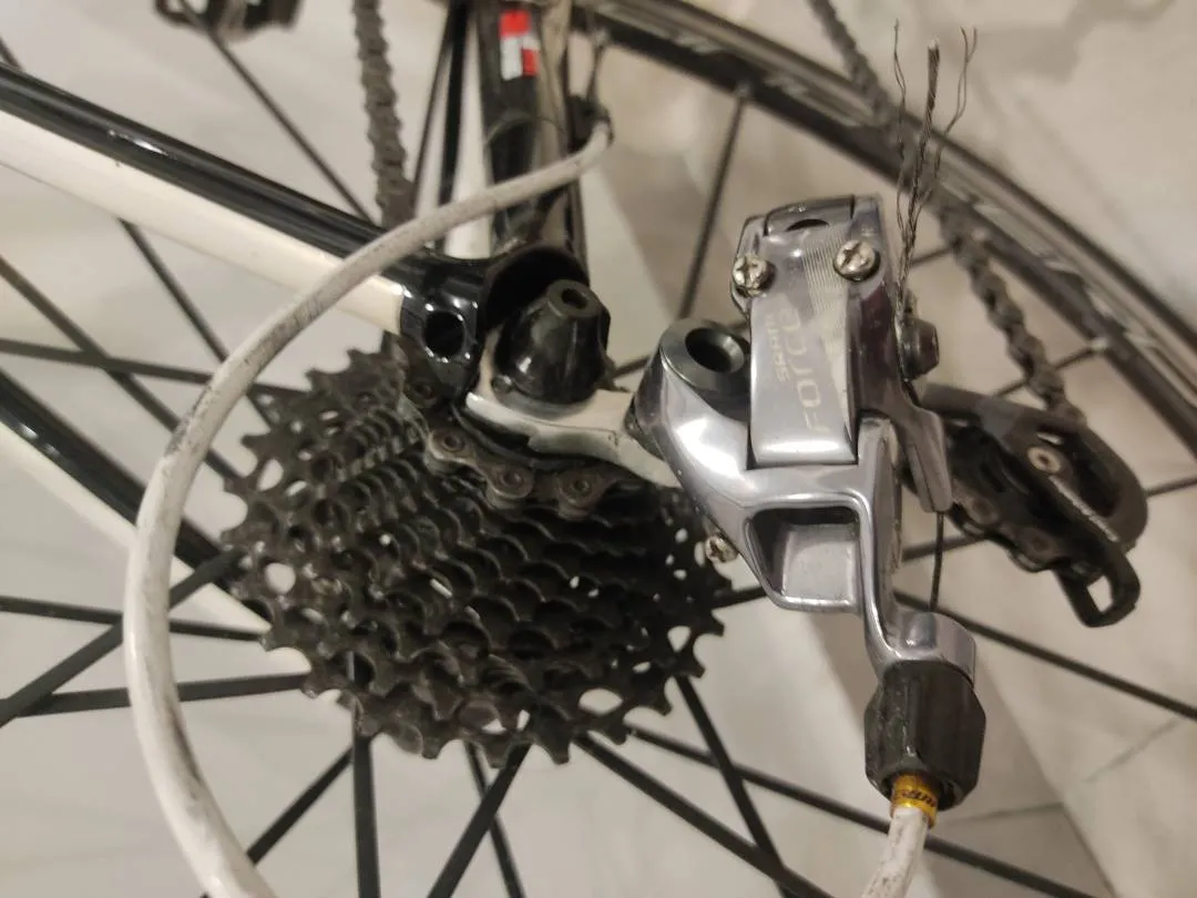 Issac kaon with fulcrum racing zero wheelset