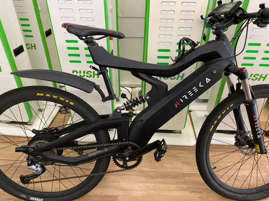 Nireeka- Carbon Fiber Frame, E- Mountain Bike (L size)