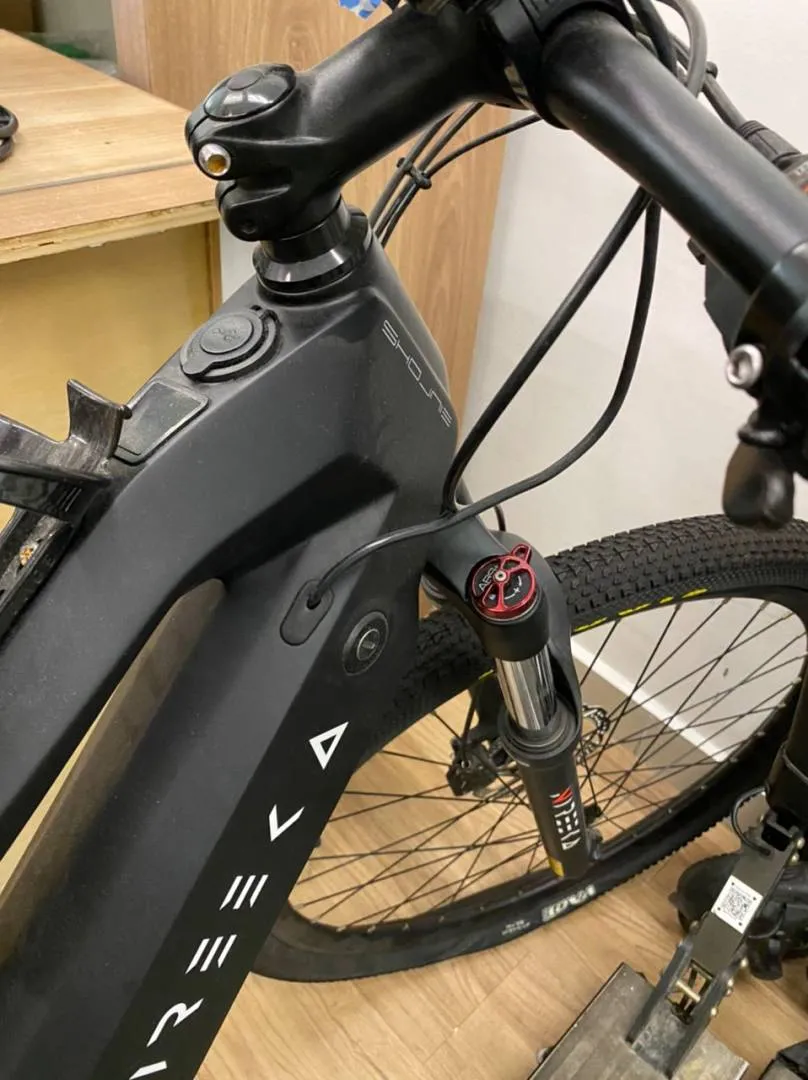 Nireeka- Carbon Fiber Frame, E- Mountain Bike (L size)