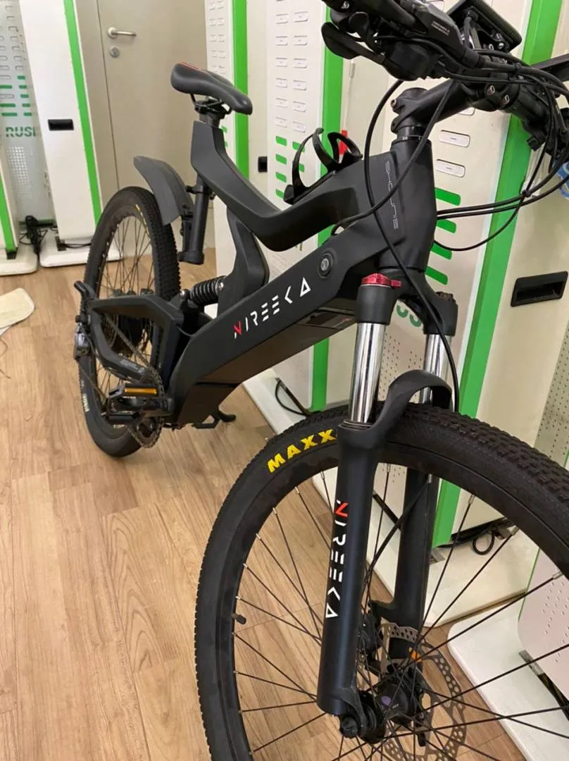 Nireeka- Carbon Fiber Frame, E- Mountain Bike (L size)