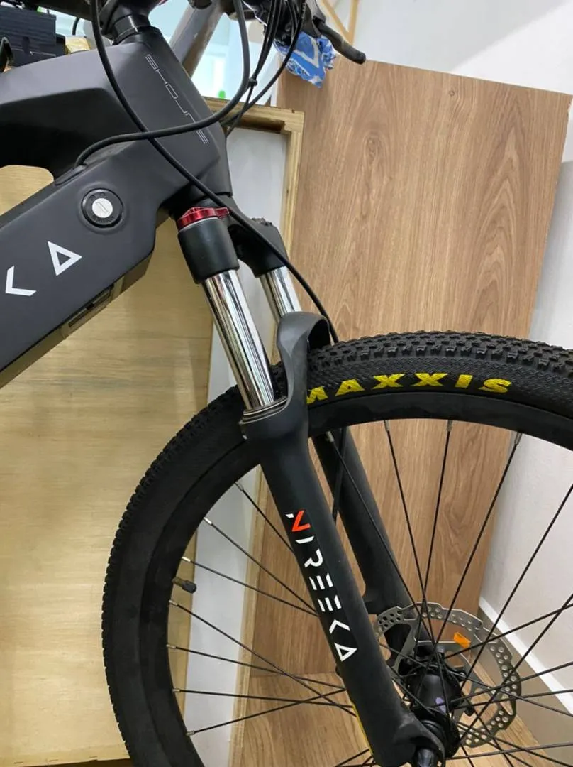 Nireeka- Carbon Fiber Frame, E- Mountain Bike (L size)