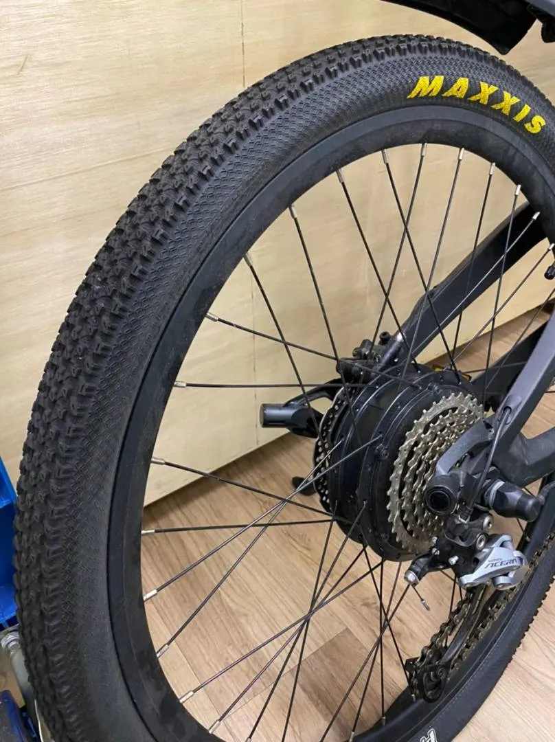 Nireeka- Carbon Fiber Frame, E- Mountain Bike (L size)
