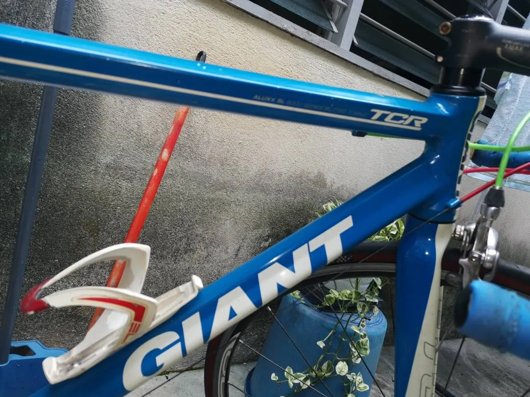 Giant TCR Limted Edition - ALUXX SL (SuperLight)