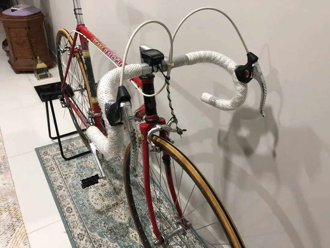 Vintage Raleigh Europa Road Bike