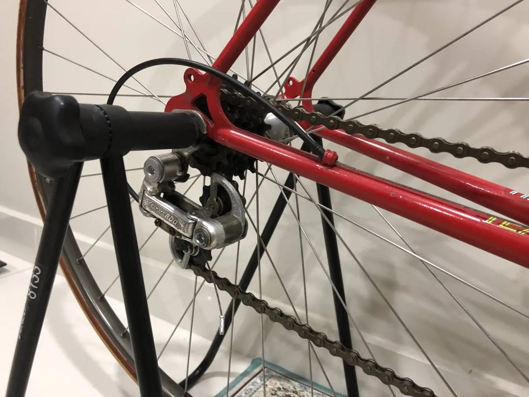 Vintage Raleigh Europa Road Bike