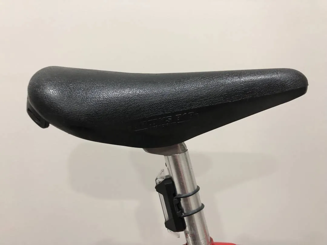 Vintage Raleigh Europa Road Bike