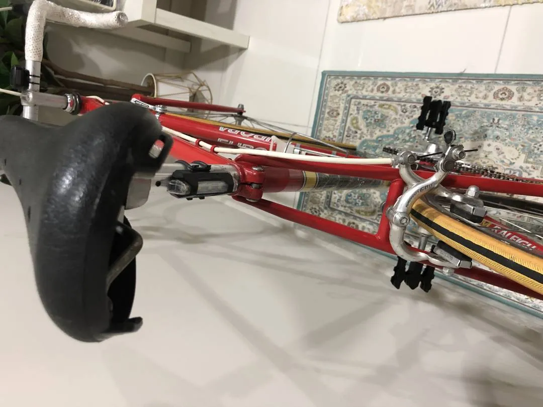 Vintage Raleigh Europa Road Bike