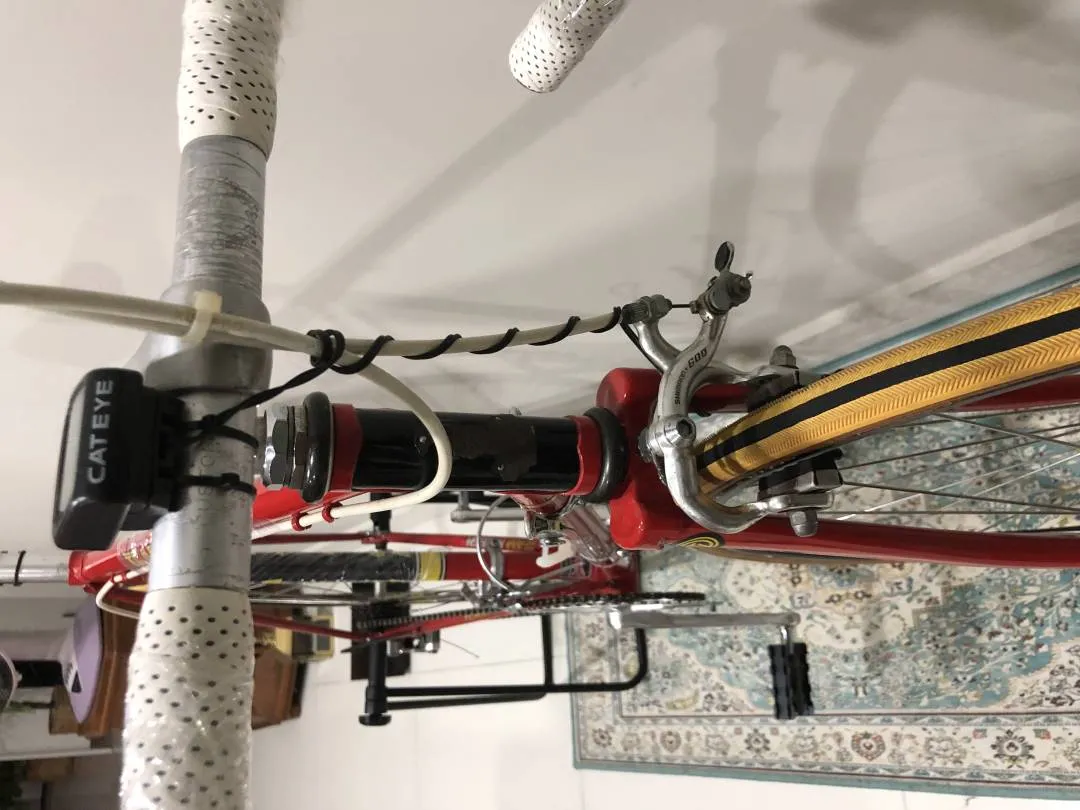 Vintage Raleigh Europa Road Bike