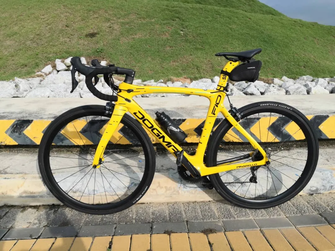 Pinarello F10