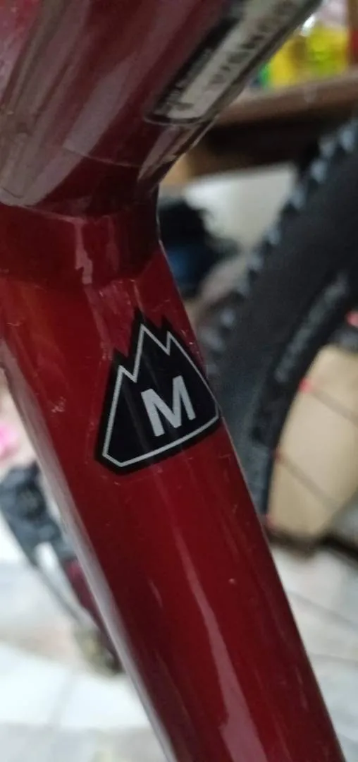 2020 specialized chisel for sell