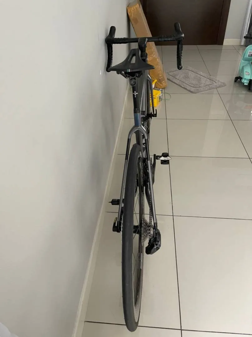 Wilier Filante SLR frameset only