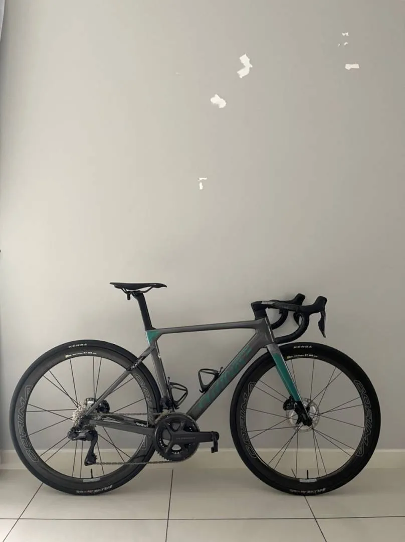 Wilier Filante SLR frameset only