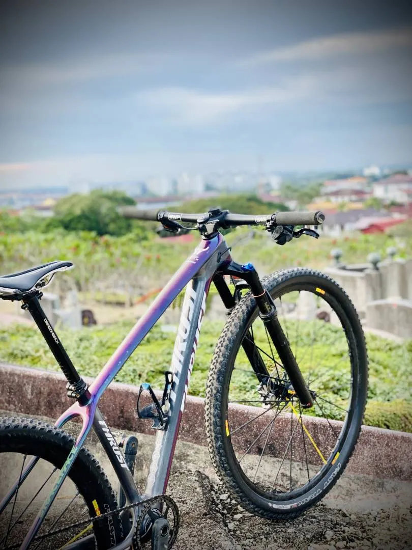 Carbon MTB Frameset 29 Lightweight