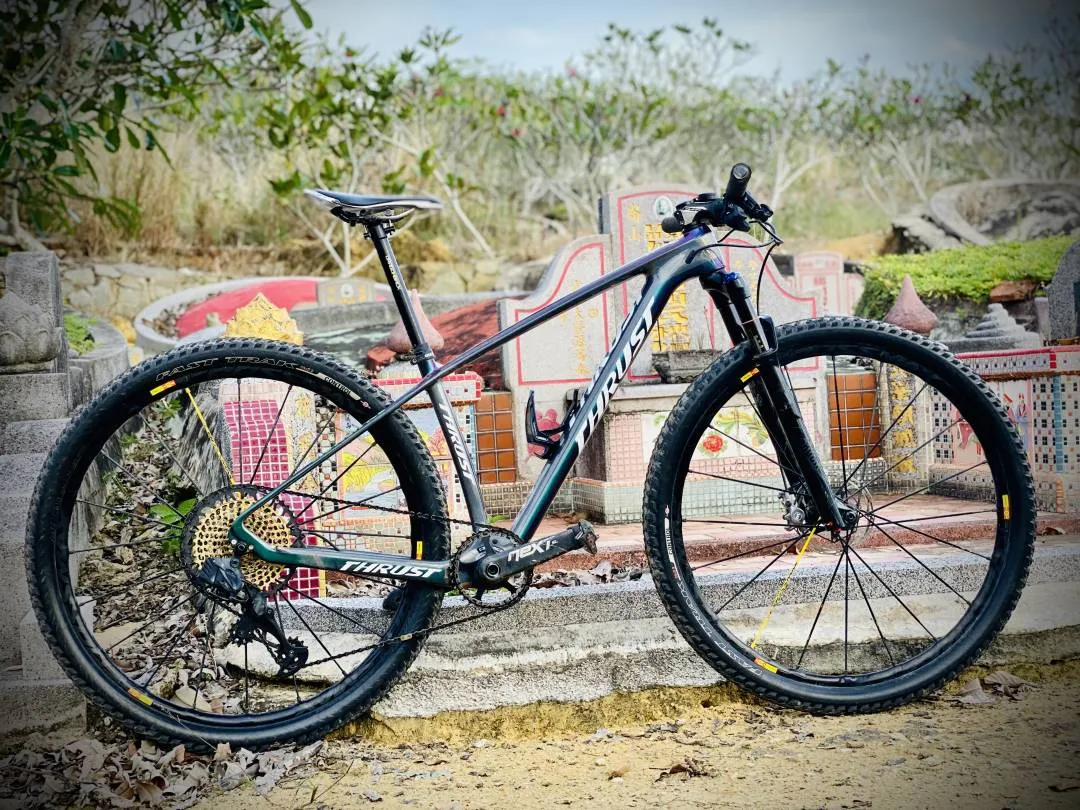 Carbon MTB Frameset 29 Lightweight