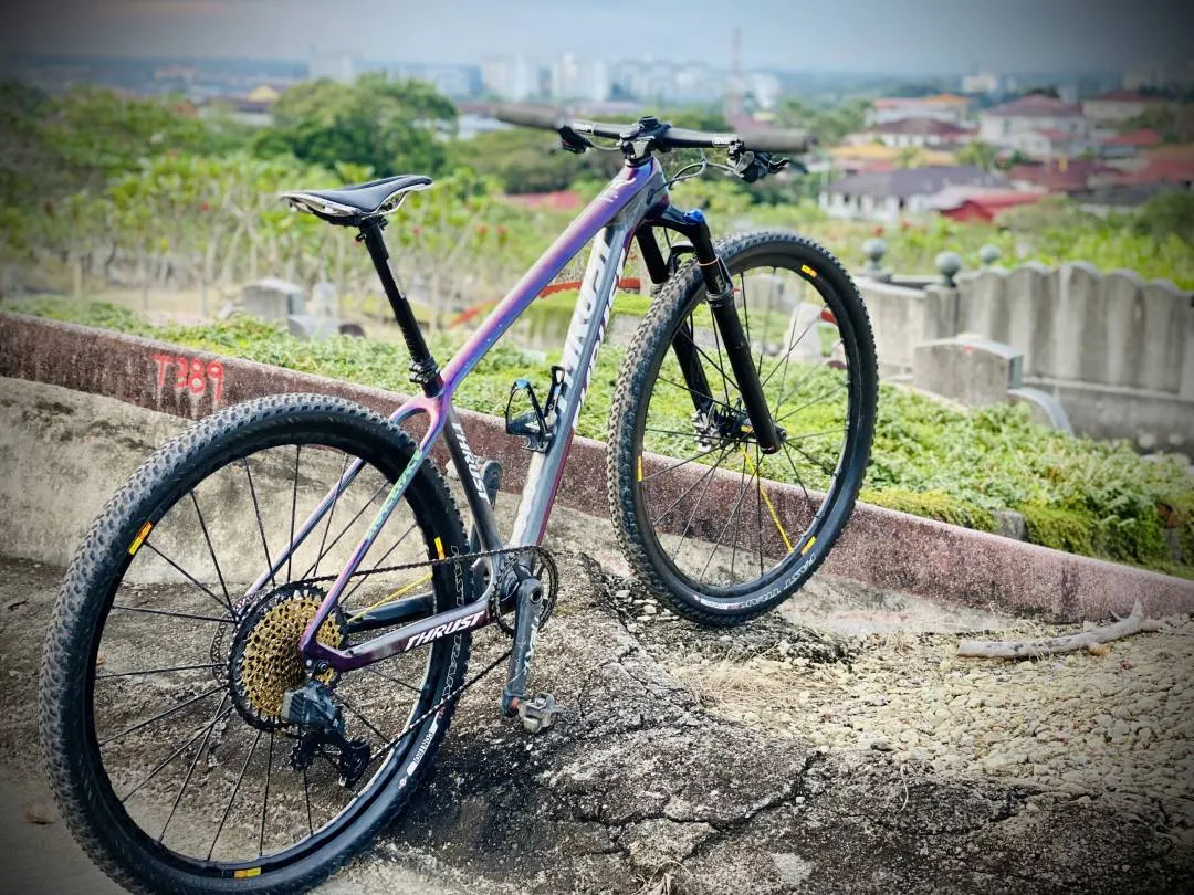 Carbon MTB Frameset 29 Lightweight