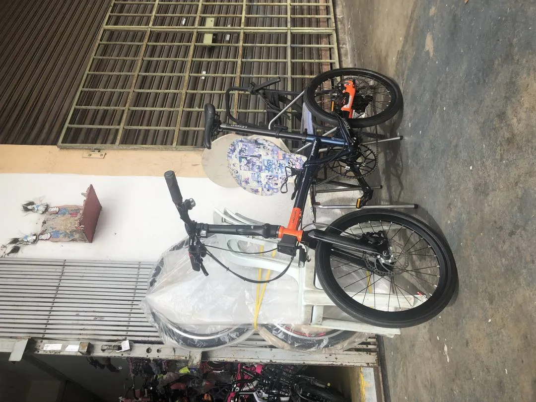 Folding Bike