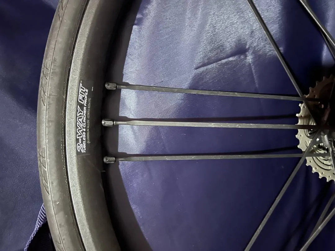 Wheelset - Campagnolo Shamal Ultra DB