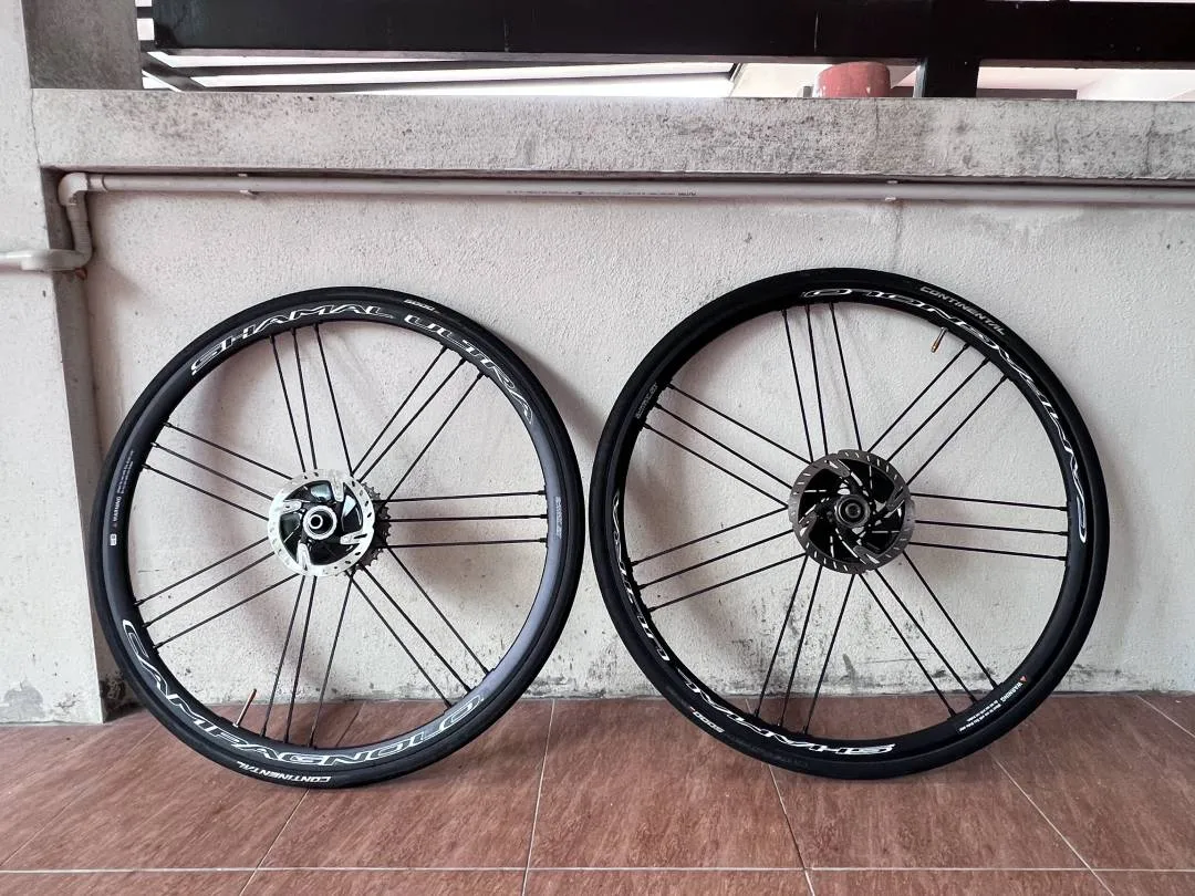 Wheelset - Campagnolo Shamal Ultra DB