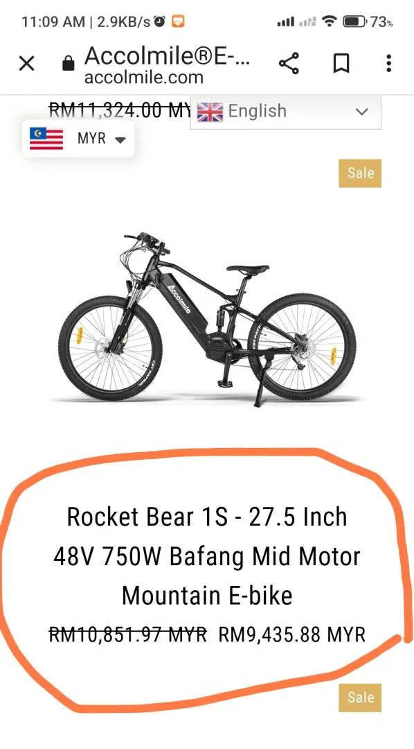 Brand New EMTB FOR SALE