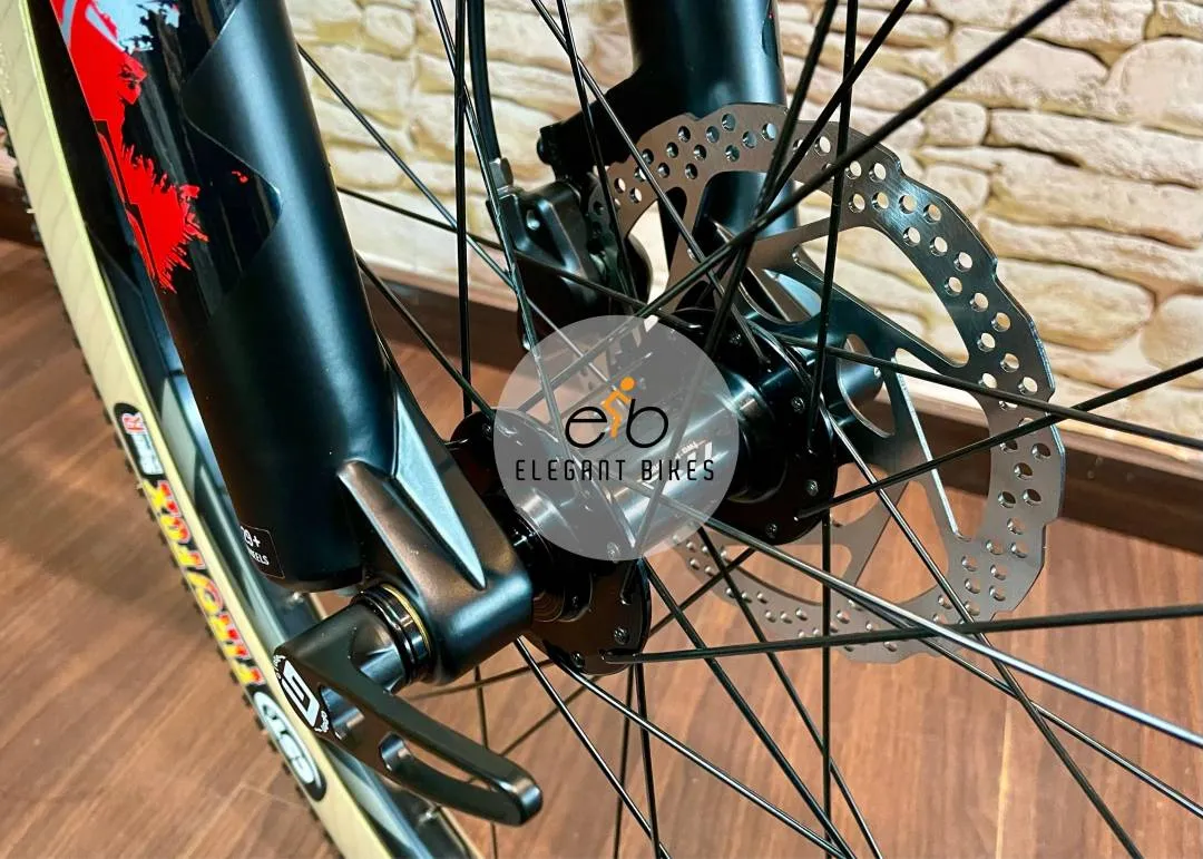NEW TRS RATEL XT SHIMANO 12SP THRU AXLE CARBON FRAME