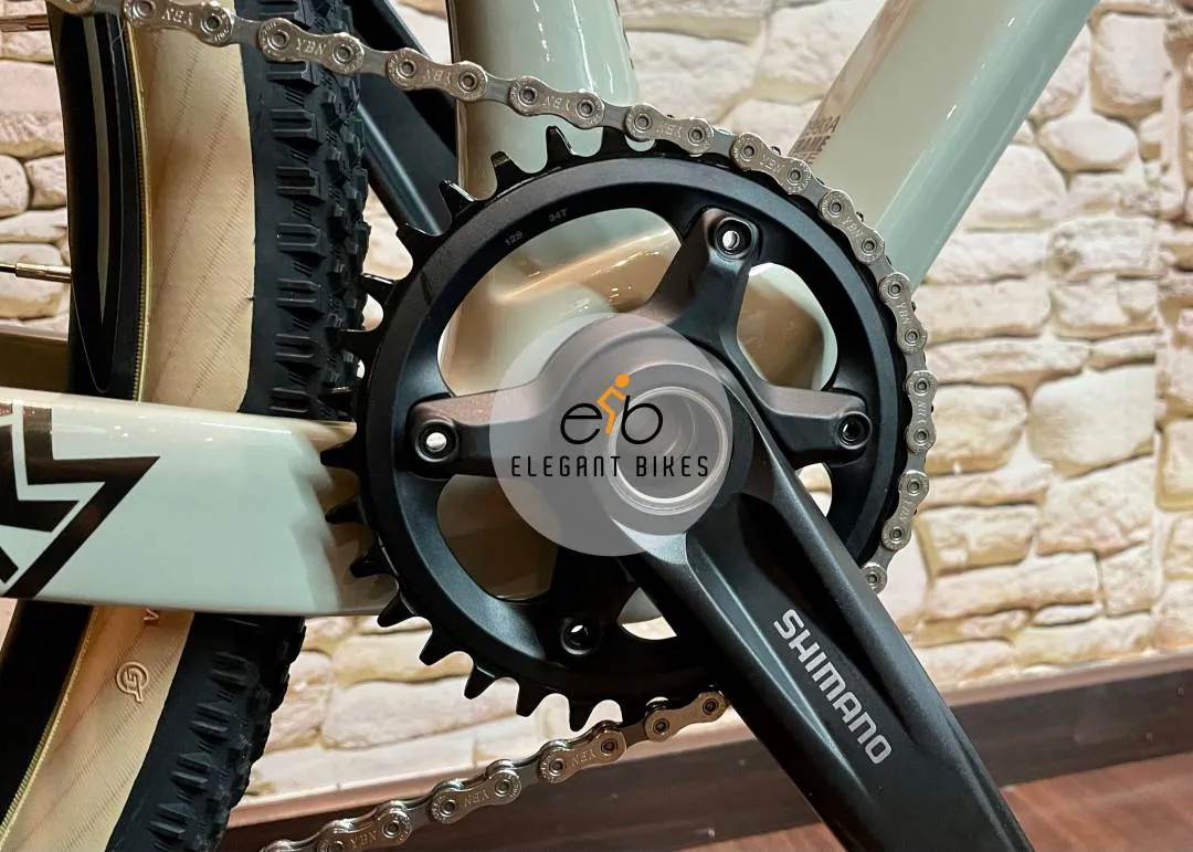 NEW TRS RATEL XT SHIMANO 12SP THRU AXLE CARBON FRAME