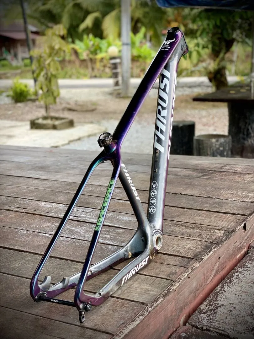 Carbon MTB Frameset 29 Lightweight