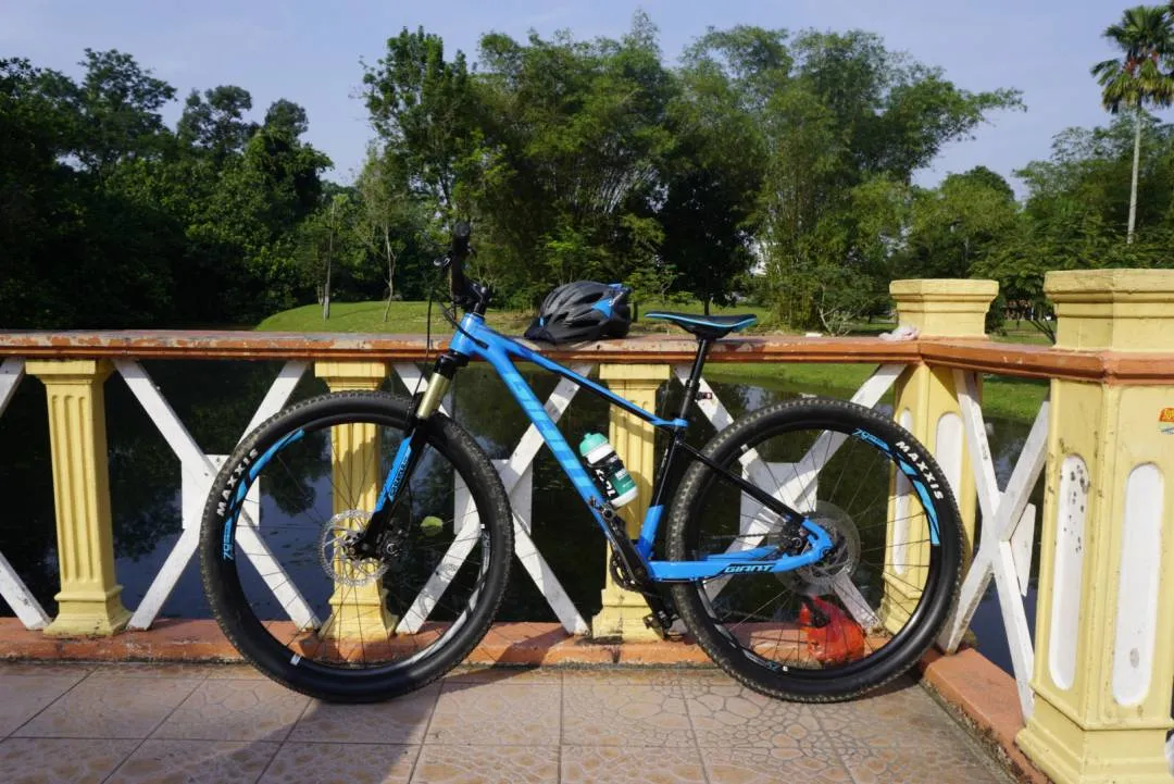 Giant Fathom 29er 1 (2018)