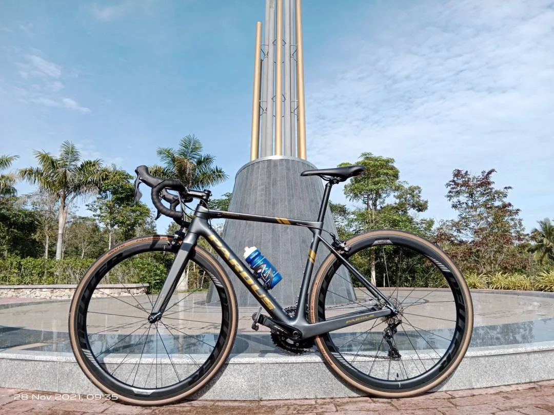 Pardus Robin Sport S size full 105 with carbon wheelset