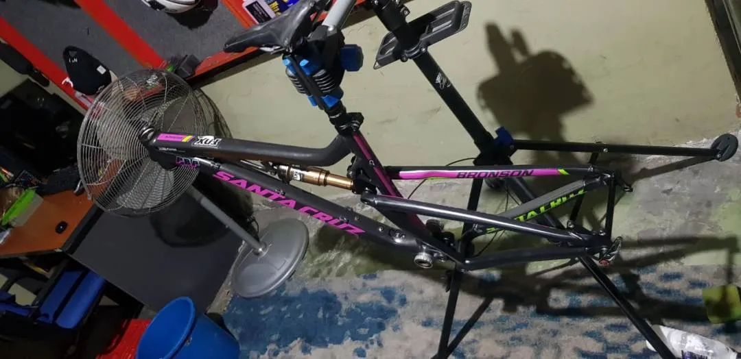 santa cruz bronson  freme