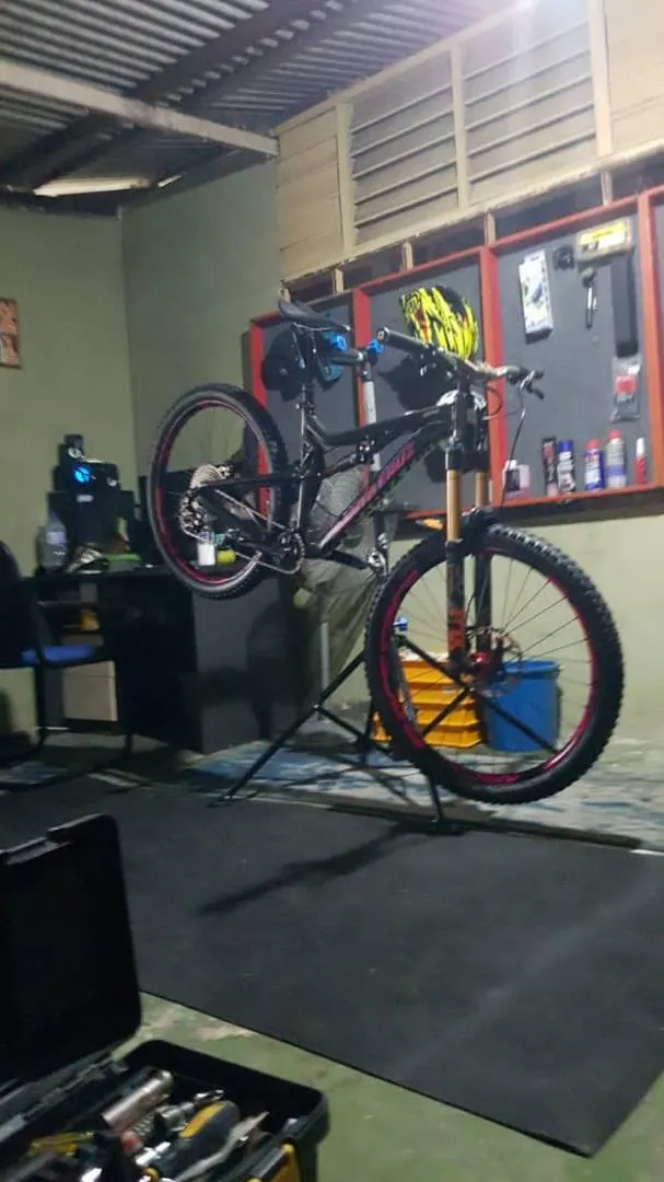 santa cruz bronson  freme