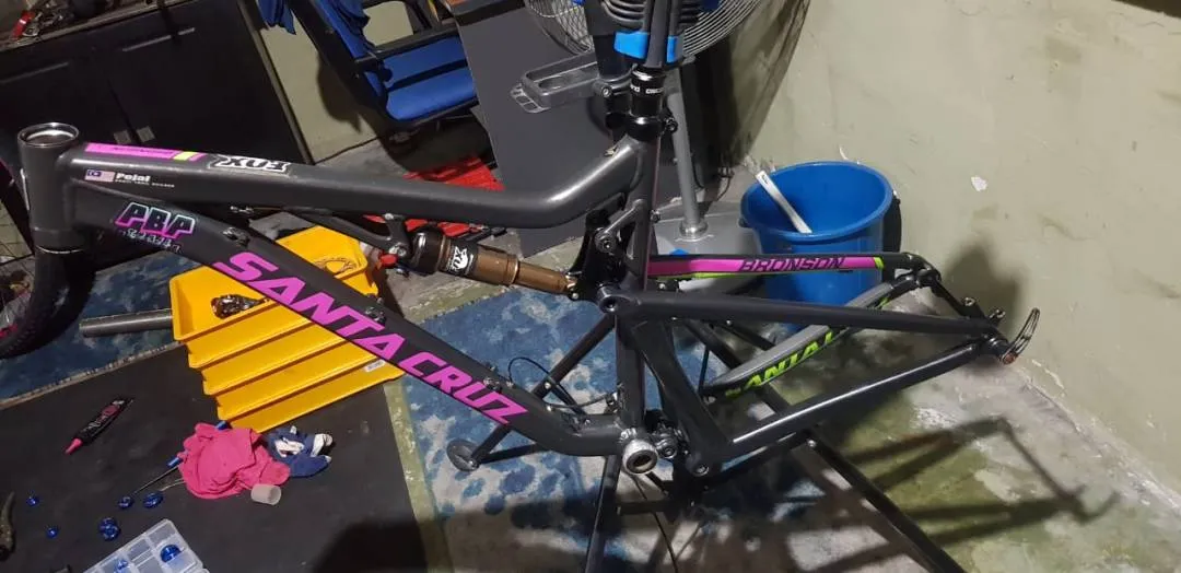santa cruz bronson  freme