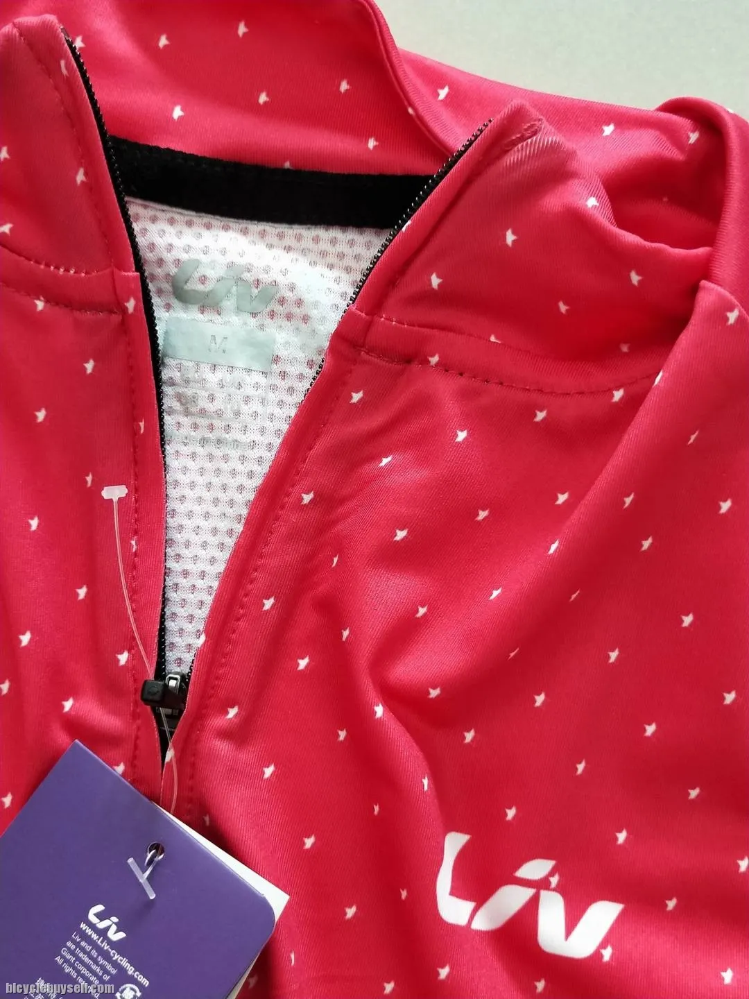 LIV 2020 Gradient Series - Long Sleeves Jersey Pink