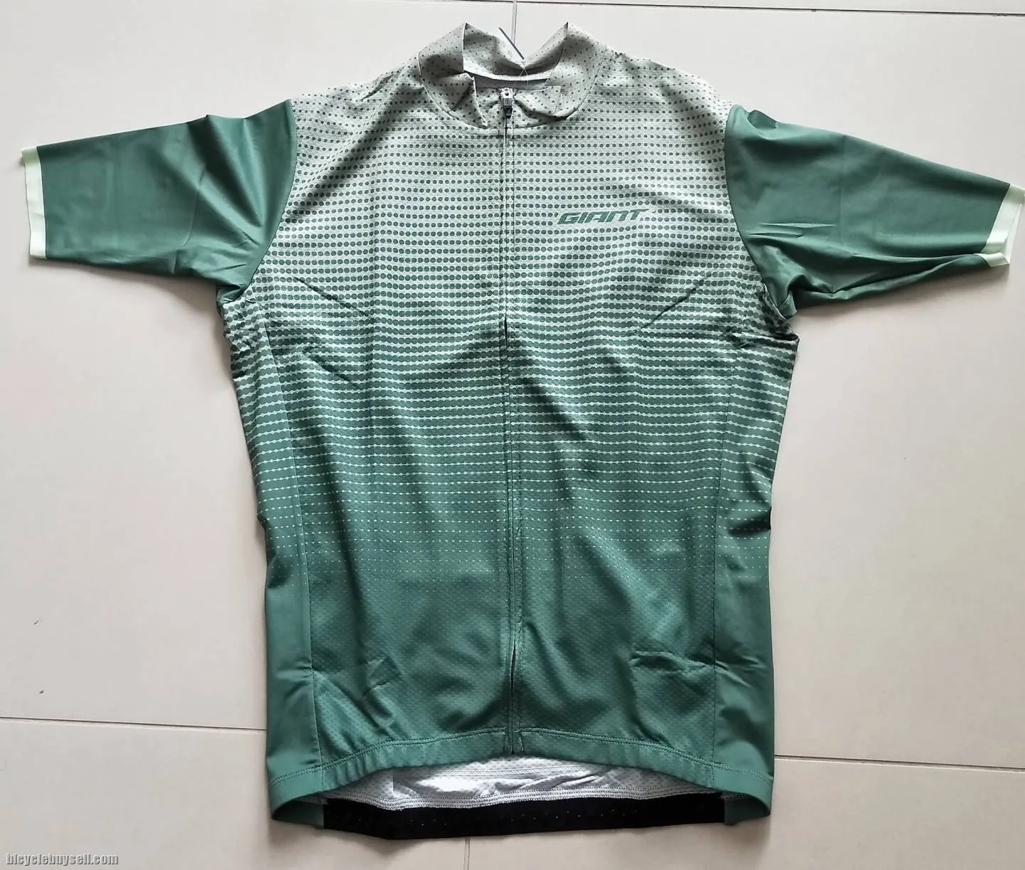 Giant Sunrise Series Club Cut Short Sleeves Cycling Jersey in Green and Blue Variant