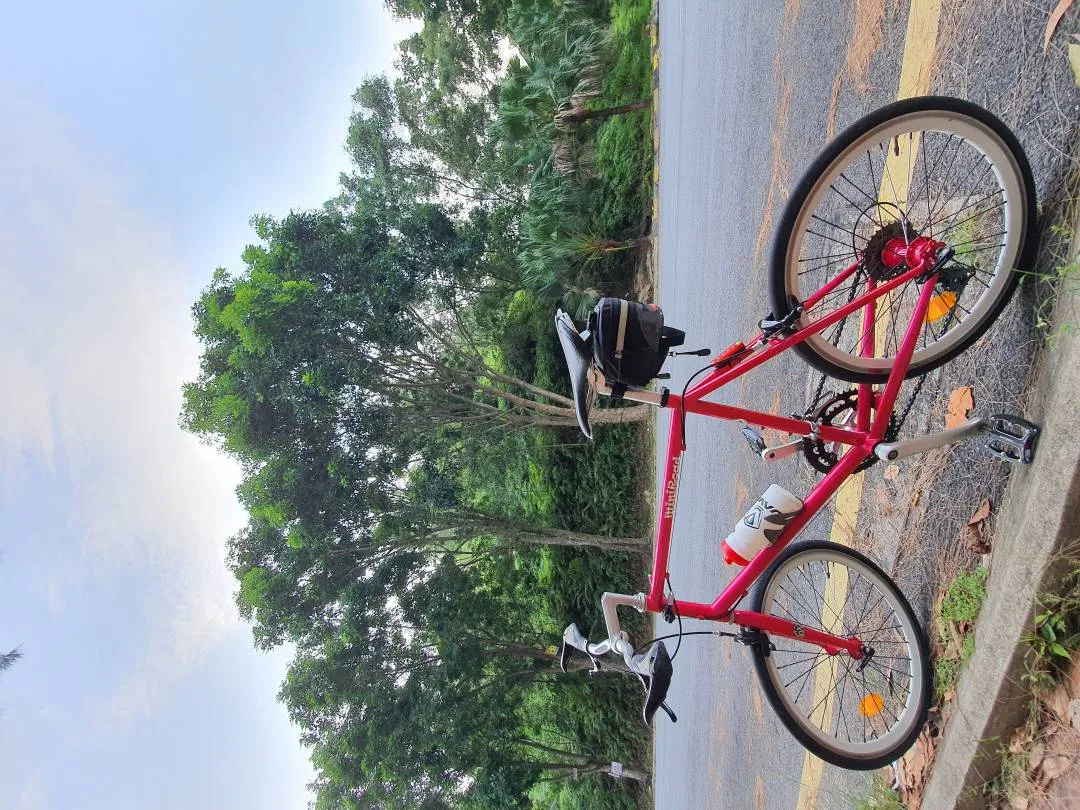 Mini Velo Pink