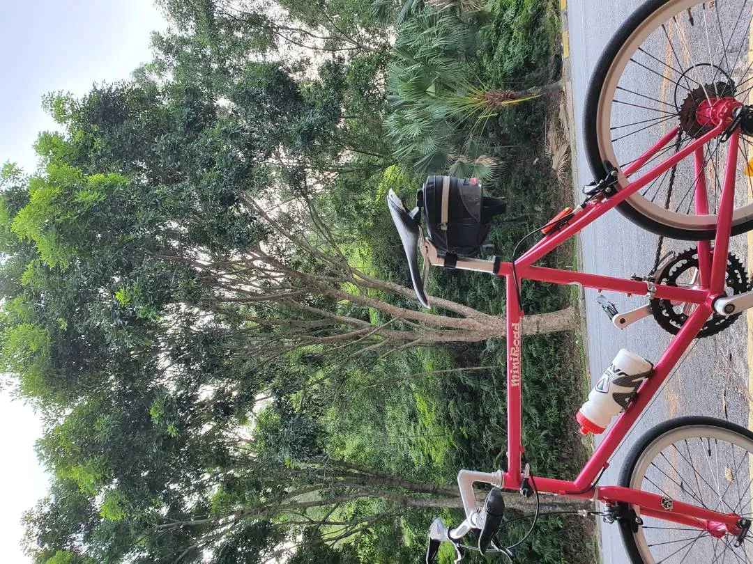 Mini Velo Pink