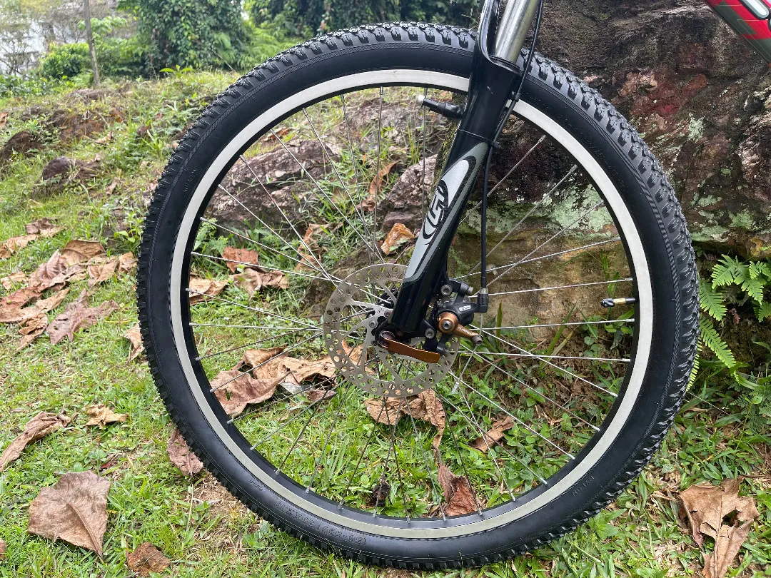 SOLD! - Lerun Avatar 26" Retro Classic MTB Hardtrail