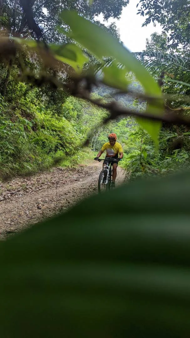 Scott Spark 740 full sus 27.5