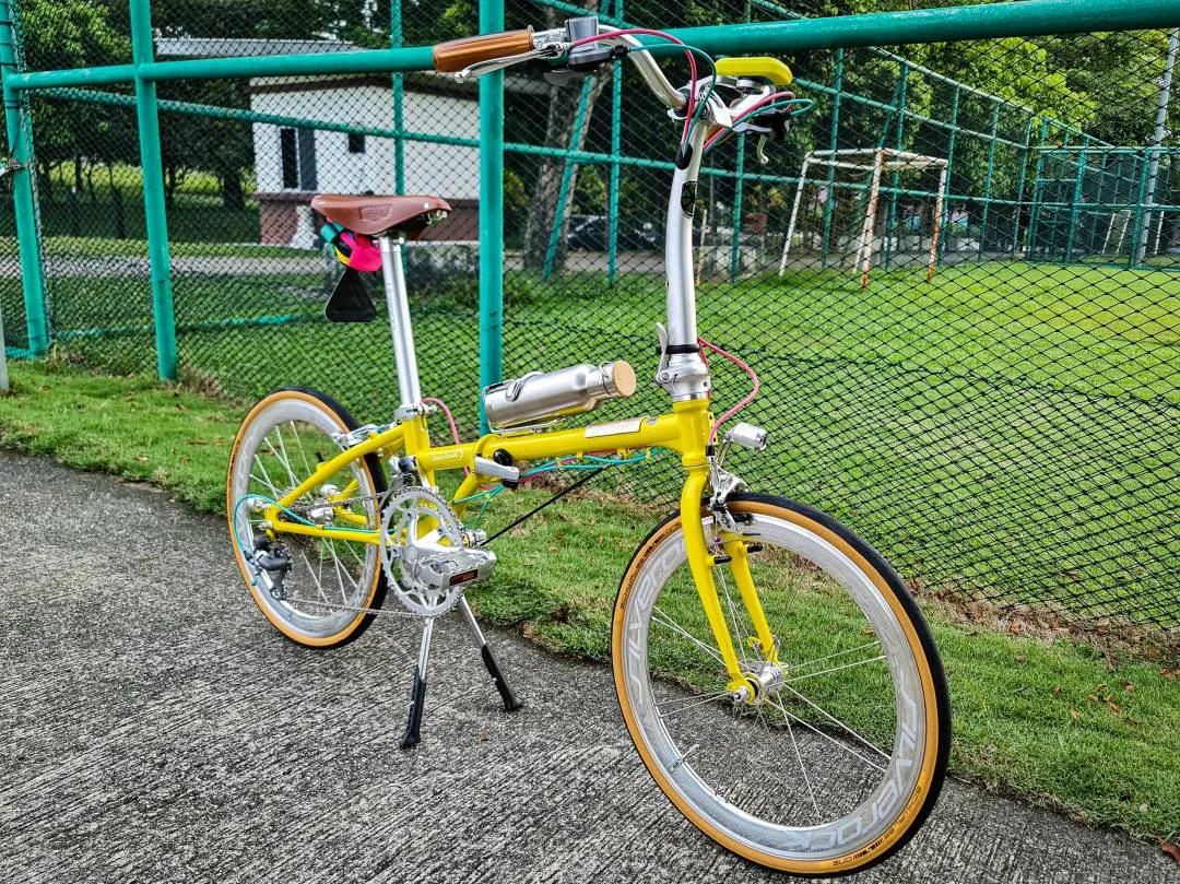 Dahon Boardwalk D7 Fully Loaded