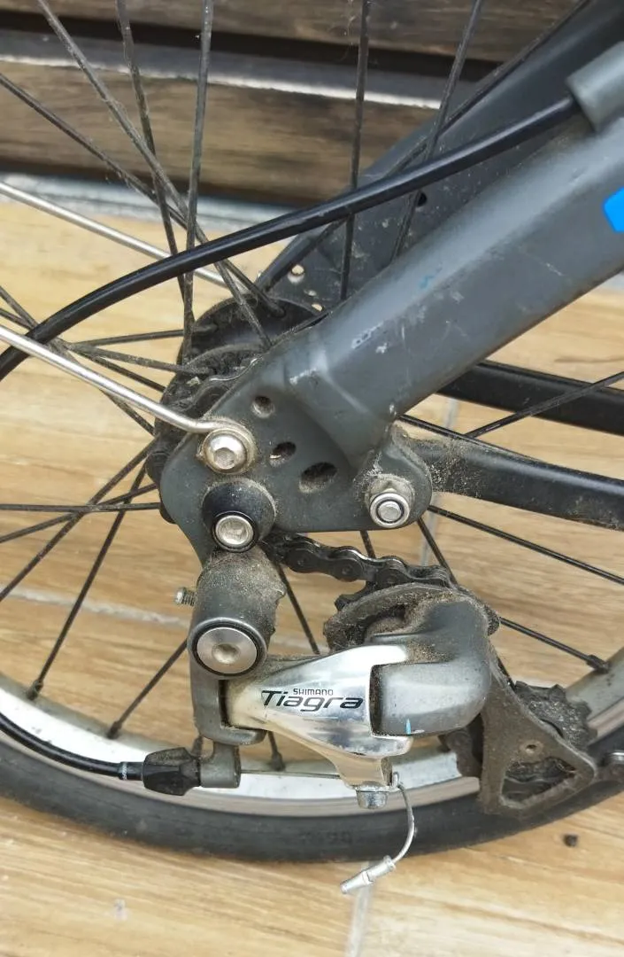 Dahon EEZZ D3