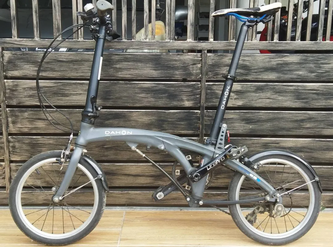 Dahon EEZZ D3