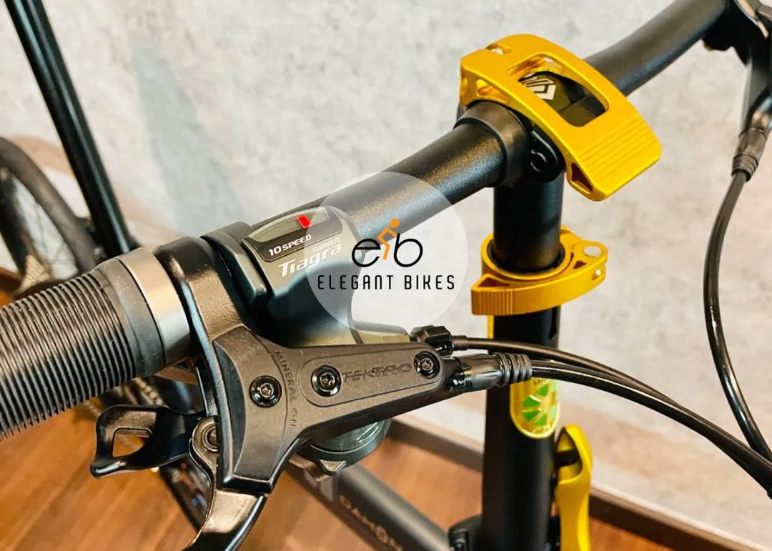 2023 DAHON UNO RUBY SHIMANIO 10SP TIAGRA HYDRAULIC BRAKE 451 WHEELSET