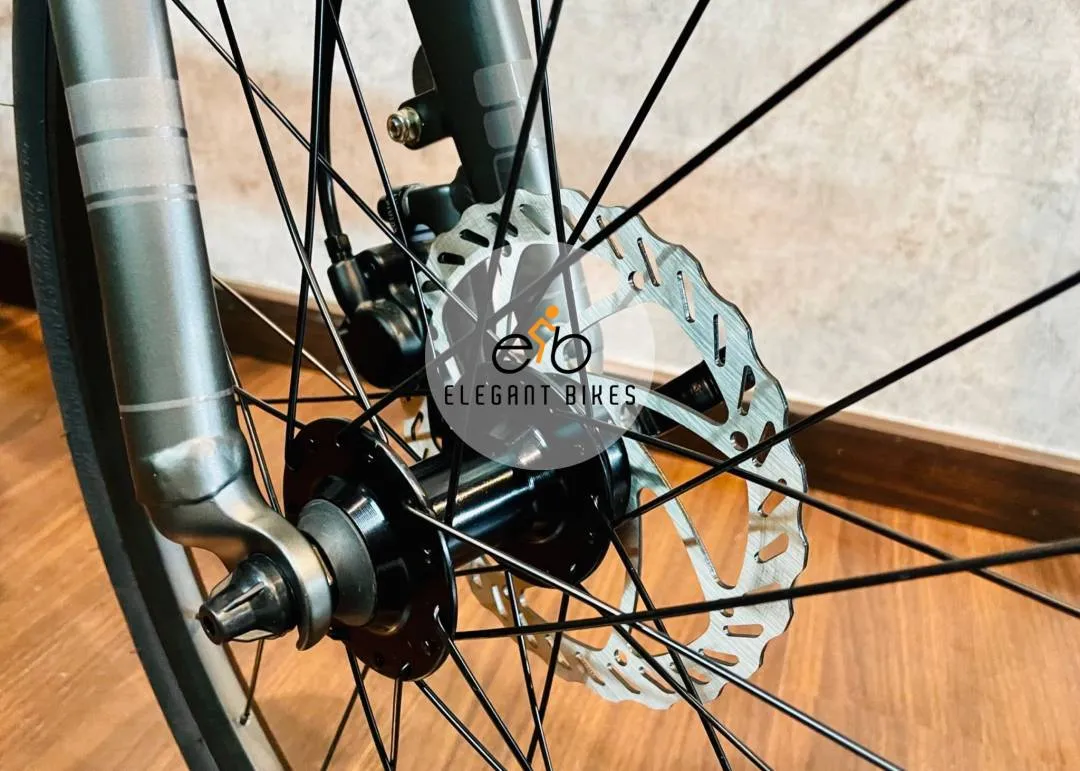 2023 DAHON UNO RUBY SHIMANIO 10SP TIAGRA HYDRAULIC BRAKE 451 WHEELSET