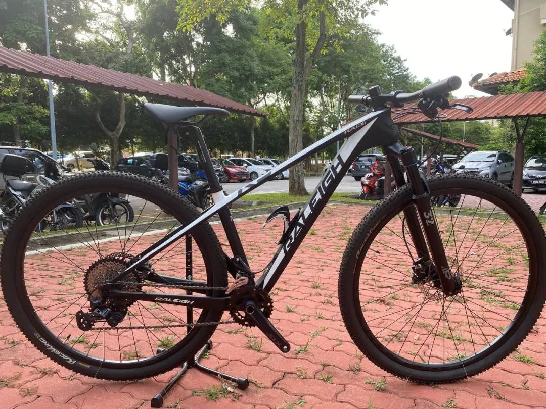 RALEIGH RACE 29