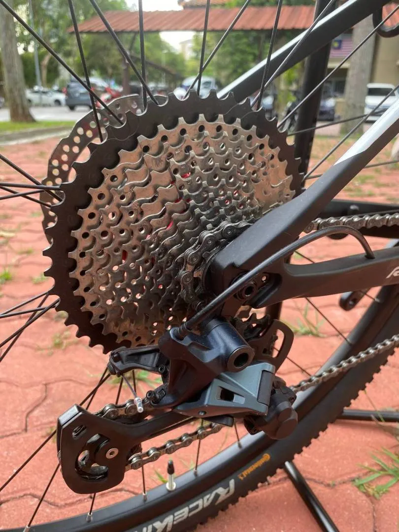 RALEIGH RACE 29