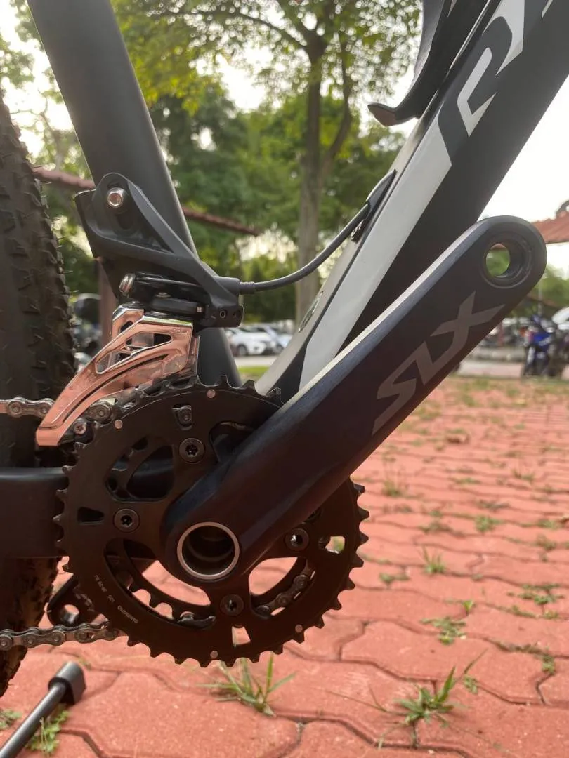 RALEIGH RACE 29