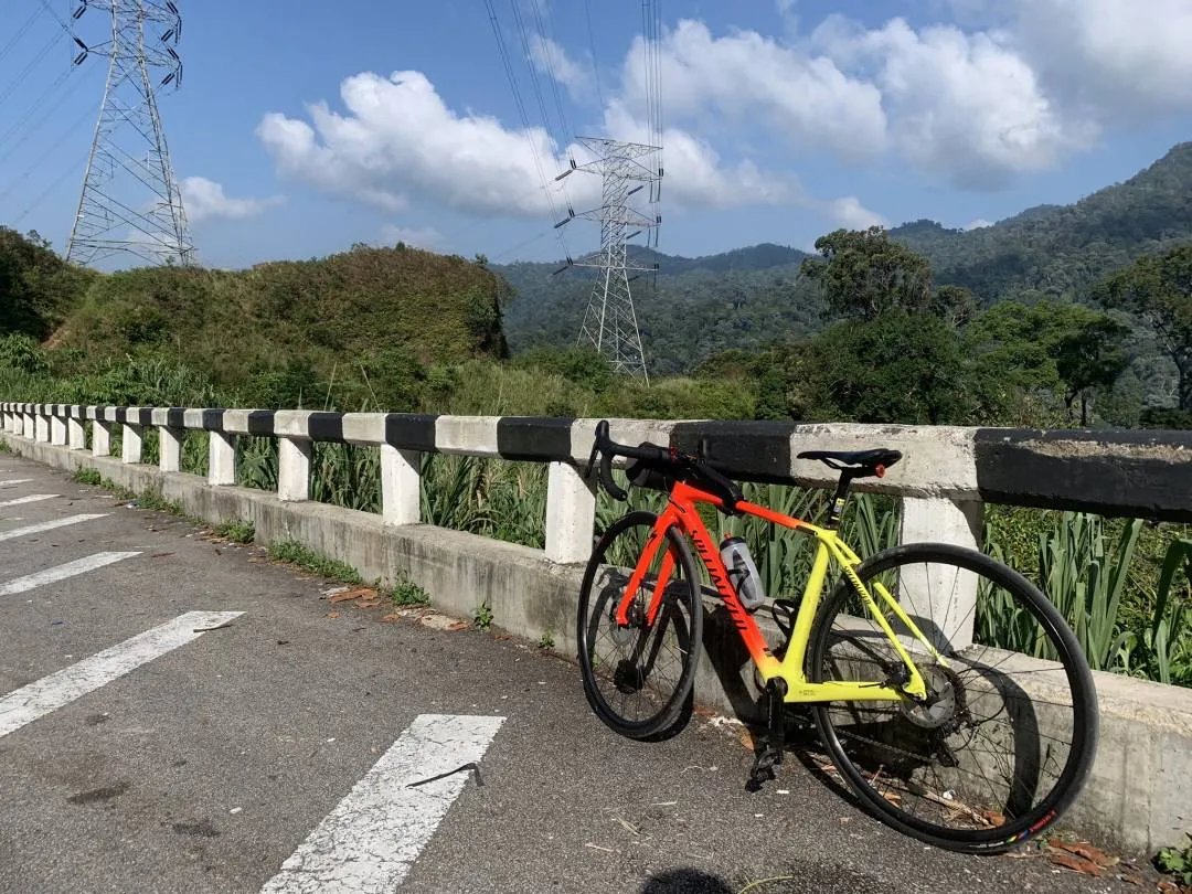 specialized tarmac sl 5 disc