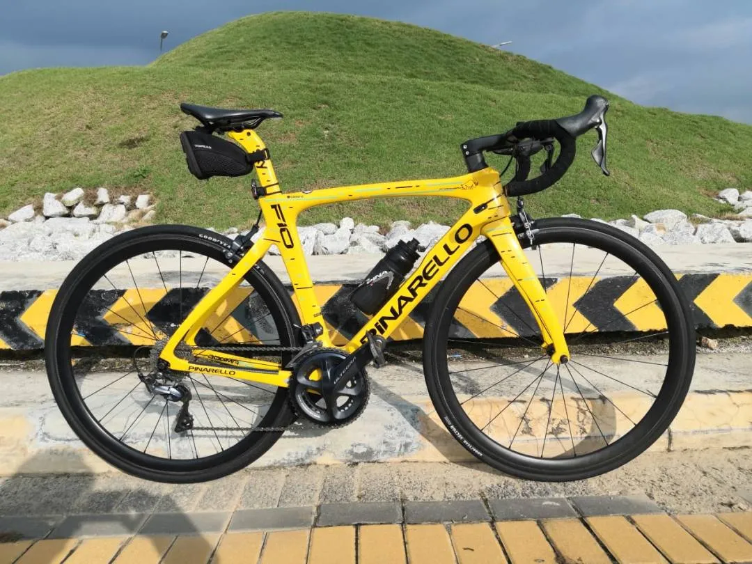 Pinarello F10